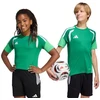 adidas Tiro 26 Varžybinių treniruočių marškinėliai vaikams Žali KA7606