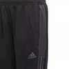 adidas Tiro Track kelnės CU Jr GN5495