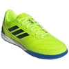 Adidas Top Sala Competition 2 IN M IH7685 futbolo bateliai