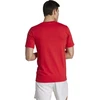 adidas Train Essentials Sezoniniai treniruočių grafiniai marškinėliai M IJ9604