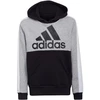 Adidas U CB FL Hoodie Jr HC5658 bliuzonas