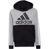 Adidas U CB FL Hoodie Jr HC5658 bliuzonas