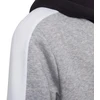 Adidas U CB FL Hoodie Jr HC5658 bliuzonas