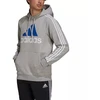 Adidas Vyrių „Essentials“ Hoodies M GV5249 Džemperis