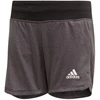 Adidas YG TR Chill SH Jr DV2799 šortai