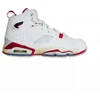 Air Jordan FLTCLB '91 GS vaikiški batai DM1685-102