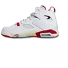 Air Jordan FLTCLB '91 GS vaikiški batai DM1685-102