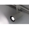 Ledvance Akcentinis šviestuvas ZOOM DIM D85 25 W 3000 K 97R WT