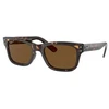 Akiniai RAY BAN RB22839025755. Akiniai przeciwsłoneczne, Kolor ruda. Unisex.