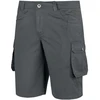 Alpinus Askja M SI18159 šortai