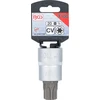 ANTGALIO GALVUTĖ | 20 MM (3/4") KVADRATINĖ JUNGTIS | T-STAR (TORX) T100 (5189-T100)