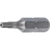 ANTGALIS | ILGIS 25 MM | 6,3 MM (1/4") SUKIMO KVADRATAS | APSAUGOTAS NUO IŠSUKIMO T-STAR (TORX) T15 (2440)