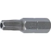 ANTGALIS | ILGIS 25 MM | 6,3 MM (1/4") SUKIMO KVADRATAS | APSAUGOTAS NUO PAKEITIMO T-STAR (TORX) T27 (2443)
