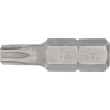 ANTGALIS | ILGIS 30 MM | 8 MM (5/16") SUKIMO KVADRATAS | APSAUGOTAS NUO PAKEITIMO T-STAR (TORX) T30 (4430)