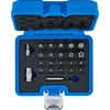 ANTGALIŲ RINKINYS | TS-STAR (TORX PLUS) | 23 VNT. (5056)