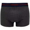 Apatiniai Monotox Basics Boxer Brief M MX21064