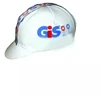 APIS Profi GIS Dangtelis