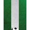 Other Brand Nexgen Skins with 3D effect for iPad 2/3/4 (Soccer Field 3D)
