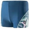 Aquawave Idaro Jr 92800398765 Plaukimo Šortai