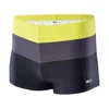 Aquawave Stripe M 92800348594 maudymosi šortai
