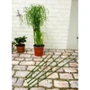 Kinzo Atraminės lazdos augalams 6 vnt 50–80 cm