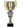 Auksinė ir sidabrinė metalinė taurė