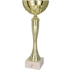 Auksinė metalinė taurė TM 9059F