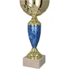 Auksinis ir mėlynas metalinis puodelis TM 9058G