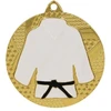 Auksinis medalis džudo/karate