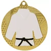 Auksinis medalis džudo/karate