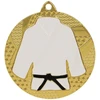 Auksinis medalis džudo/karate