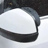 Automobilio veidrodėlio stogelis "Carbon"