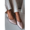 Balerinos su smailėjančia nosimi Step in style