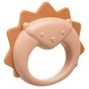 Akuku barškutis, Hedgehog, A0540