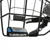 Bauer II ferma