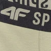 Berniukų apatiniai šortai 4F M061, 3 vnt. pakuotė, įvairių spalvų 1 4FJWAW25UBXSM061 91S