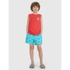 Berniukų boardshorts 4F 4FJWSS25UBDSM121-47A