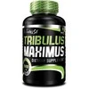 BioTechUSA Testosterono stiprintuvas Tribulus Maximus 90 tab.