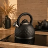 La Cuisinette Brock MWK 003 BK švilpiantis virdulys 2,5 l, juodas / plieno