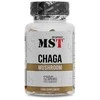 Čaga grybo kapsulės imuninei sistemai MST 1200 mg 60 vnt.
