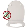 CEDO Universal, dangtis baltas