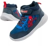 Cerda Jr SP013228 Batai