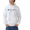 Champion Bliuzonas su gobtuvu M 221809.WW001