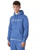 Champion Hooded M 220253 BS099 džemperis