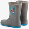 Coqui Rainy Jr 8505-605-4818 Wellington batai