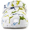 Crocs Klasikinis Character Print Klopas 209695-9DH