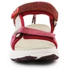 D. Franklin Sneaker Basutės Su Juostelėmis W DFSH406003-Burg