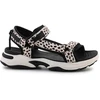 D. Franklin sportiniai sandalai su juostelėmis W DFSH406002-DOTT
