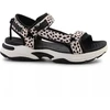 D. Franklin sportiniai sandalai su juostelėmis W DFSH406002-DOTT