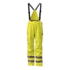 Darbo kelnės Helly Hansen